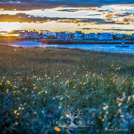 SquarePhotos-31
