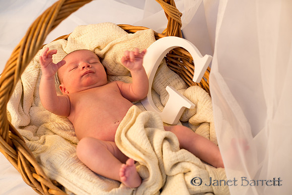 Baby Budman_20160218_095