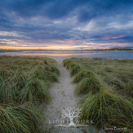SquarePhotos-35