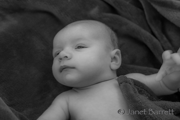 Baby Budman_20160218_072-2