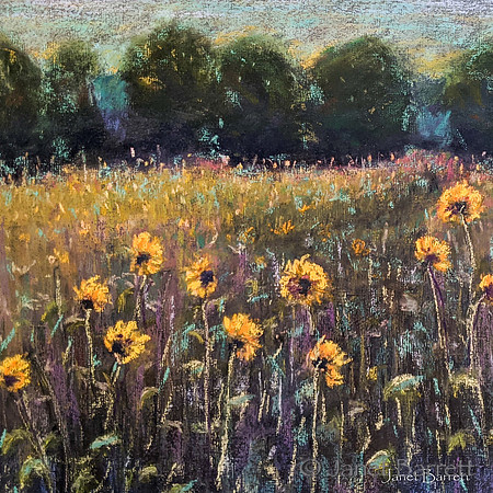 pastels for tins-201021977