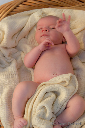 Baby Budman_2_20160218_029