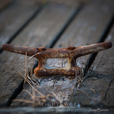SquarePhotos-23