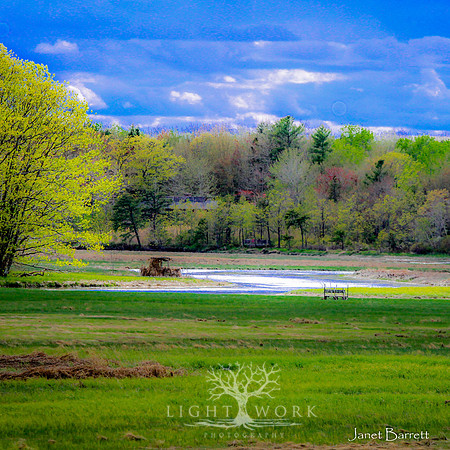 SquarePhotos-53