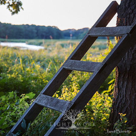 SquarePhotos-18