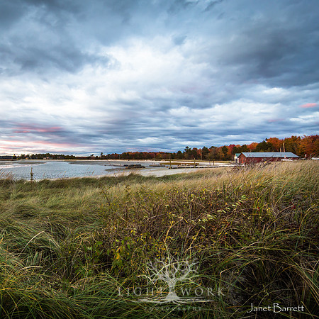 SquarePhotos-37