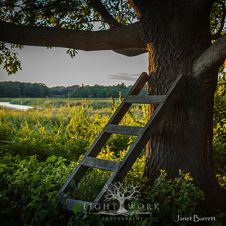 SquarePhotos-19