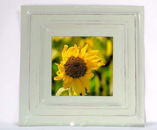 Artistic Tins Card Photos_20170729_091