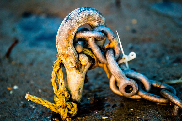 Closeups Ferry 062914-6926-2