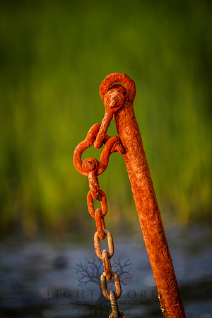 closeups_070114-7163