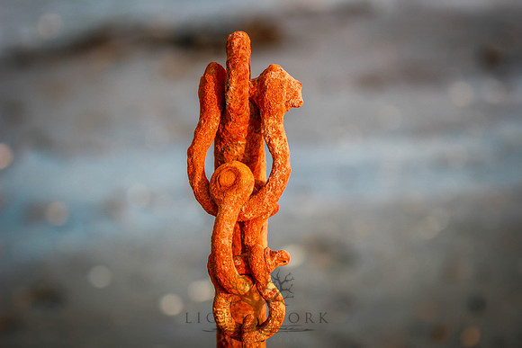 closeups_070114-7153