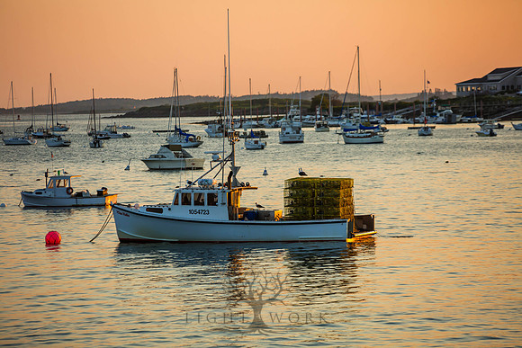 Harpswell_140824_0080