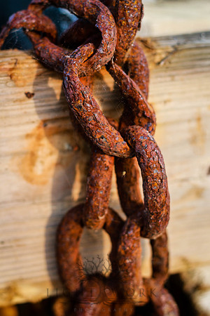 closeups_070114-7067