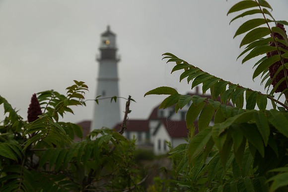 Portland Headlight20140804-7C0A9436