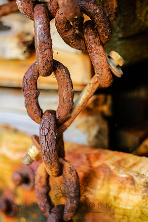 closeups_070114-7084