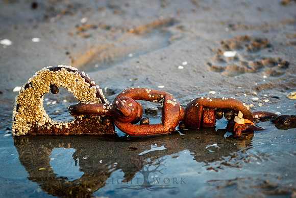 closeups_070114-7130