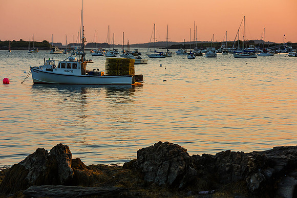 Harpswell_140824_0093