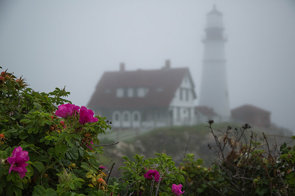 Portland Headlight20140804-7C0A9493