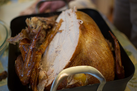 Thanksgiving Perilli 2014