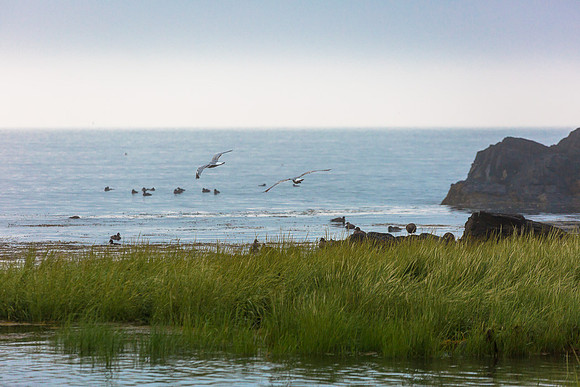 Portland Headlight20140804-7C0A9379