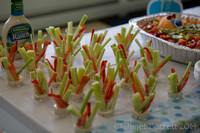 Lillys Shower_20140913_003
