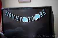 Lillys Shower_20140913_022