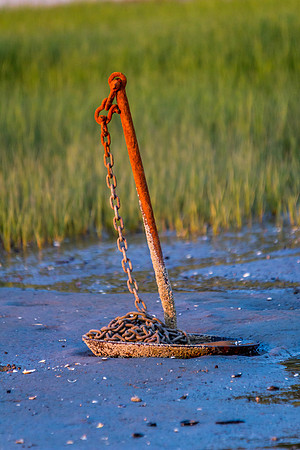 Closeups Ferry 062914-6886-2
