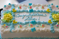 Lillys Shower_20140913_006
