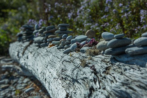 Cliff Walk 092814_20140928_084