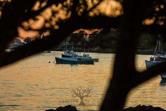 Harpswell_140824_0092